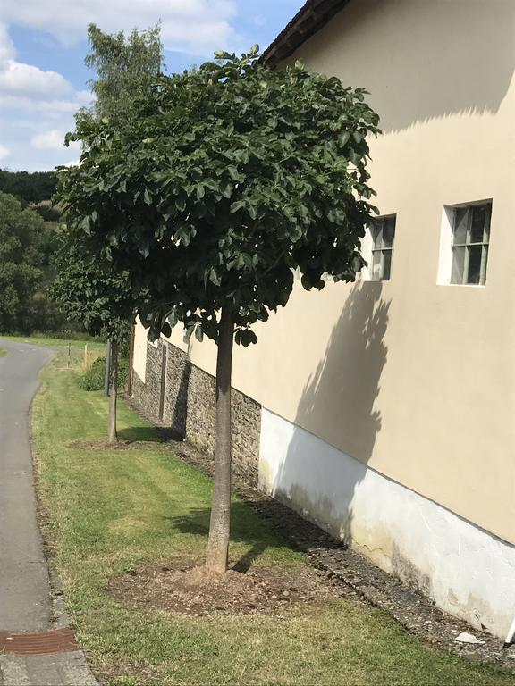 Ferienwohnung Schloessershof Borler Exterior photo